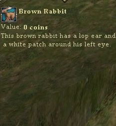 Brownrabbititem.jpg