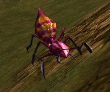 Poisonscythebeetle.jpg