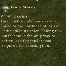 Ivorymucor.jpg