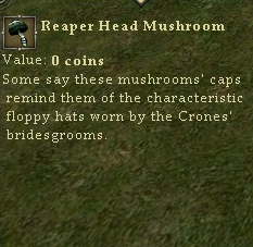 Reaperheadmushroom.jpg