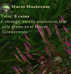 Mucormushroom.jpg