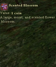 Scentedblossom.jpg