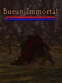 Burun Immortal