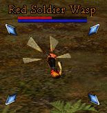 Red Soldier Wasp