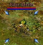 EdgeBeetle