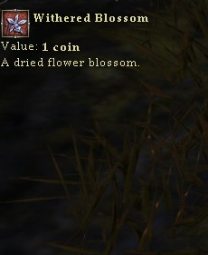 Witheredblossom.jpg